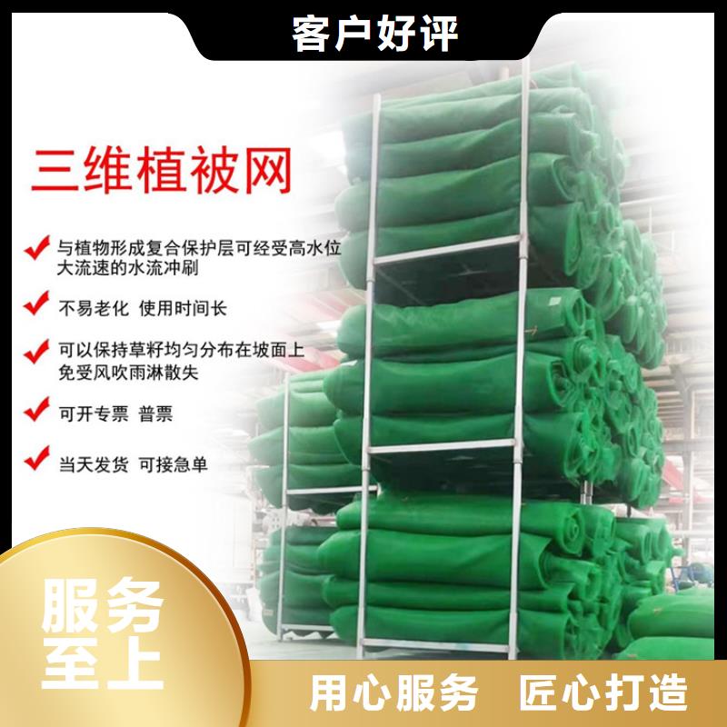 三维植被网_波纹管价格透明同城品牌