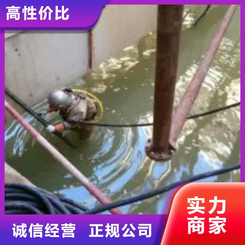 水下工程-堤防工程施工良好口碑诚实守信