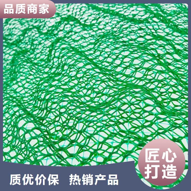 三维植被网螺旋形聚乙烯醇纤维产品参数优选货源