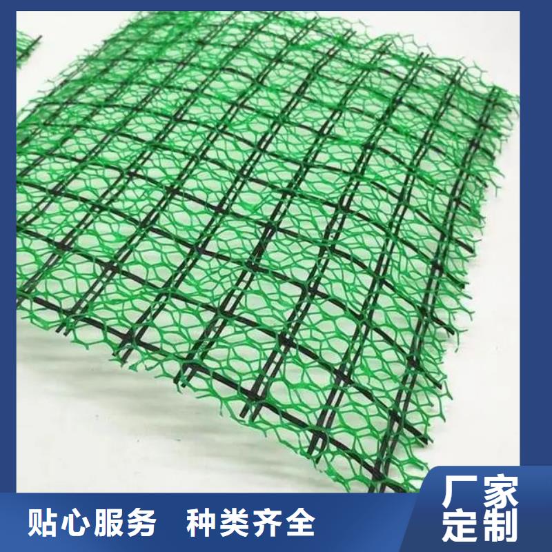 三维植被网抗裂纤维大品牌值得信赖实力优品