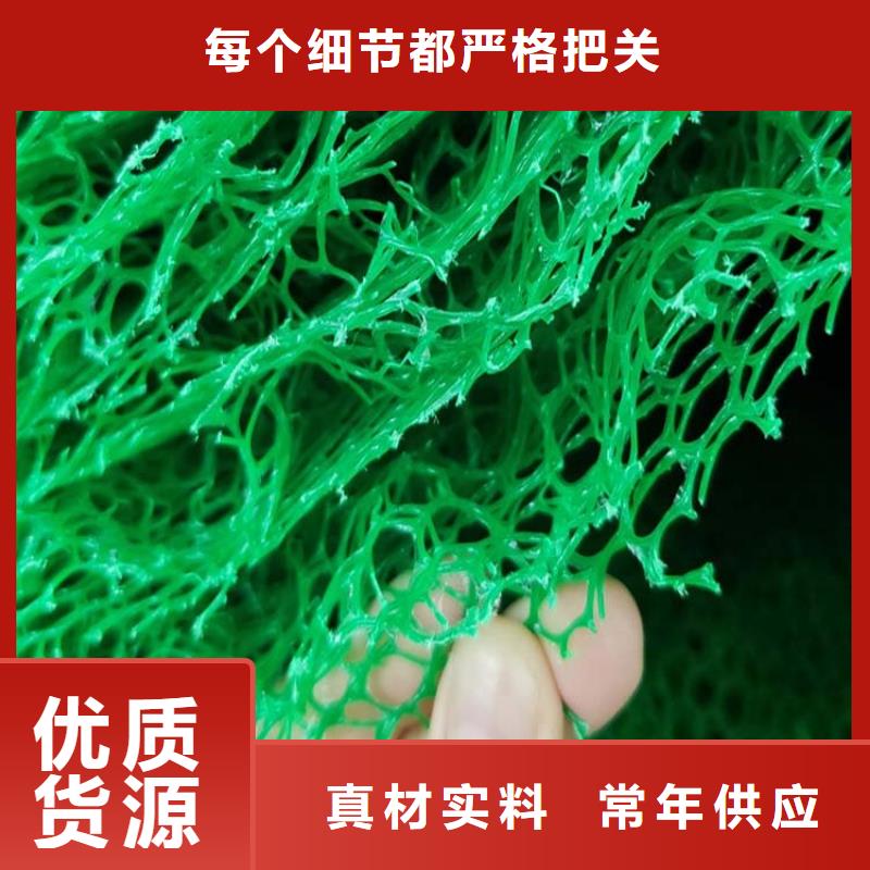 三维植被网排水盲管厂家十分靠谱真实拍摄品质可靠