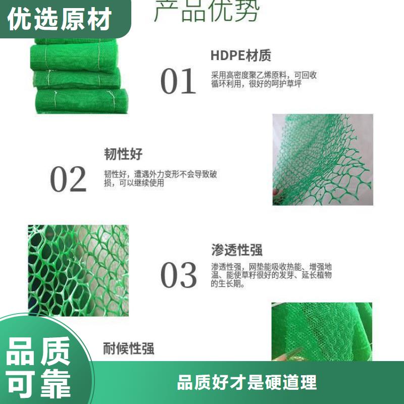 三维植被网_沥青麻丝品质服务诚信为本一件也发货