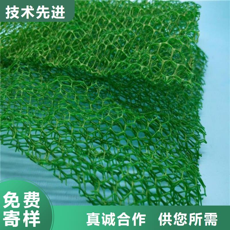 【三维植被网聚乙烯醇纤维厂家欢迎来电询价】买的放心