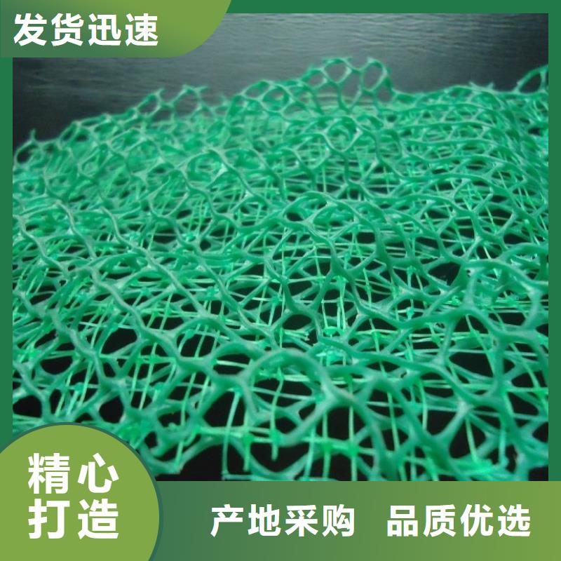 三维植被网-【止水铜片】好厂家有担当当地制造商