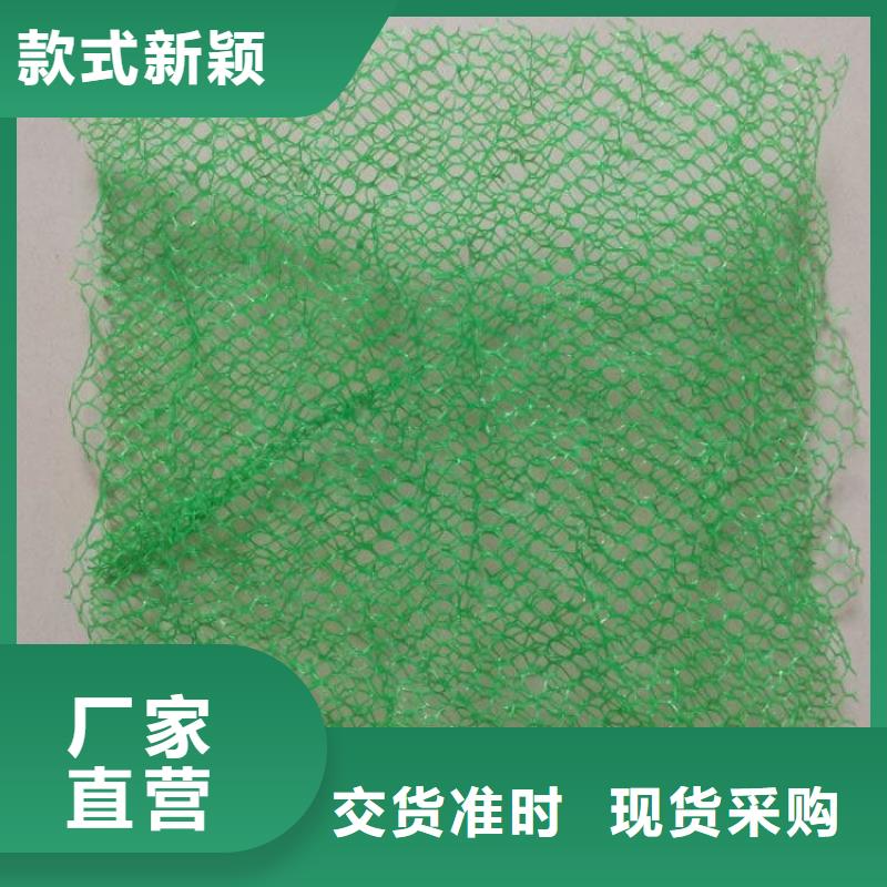 三维植被网【铜止水生产厂家】买的放心安兴用的舒心本地品牌