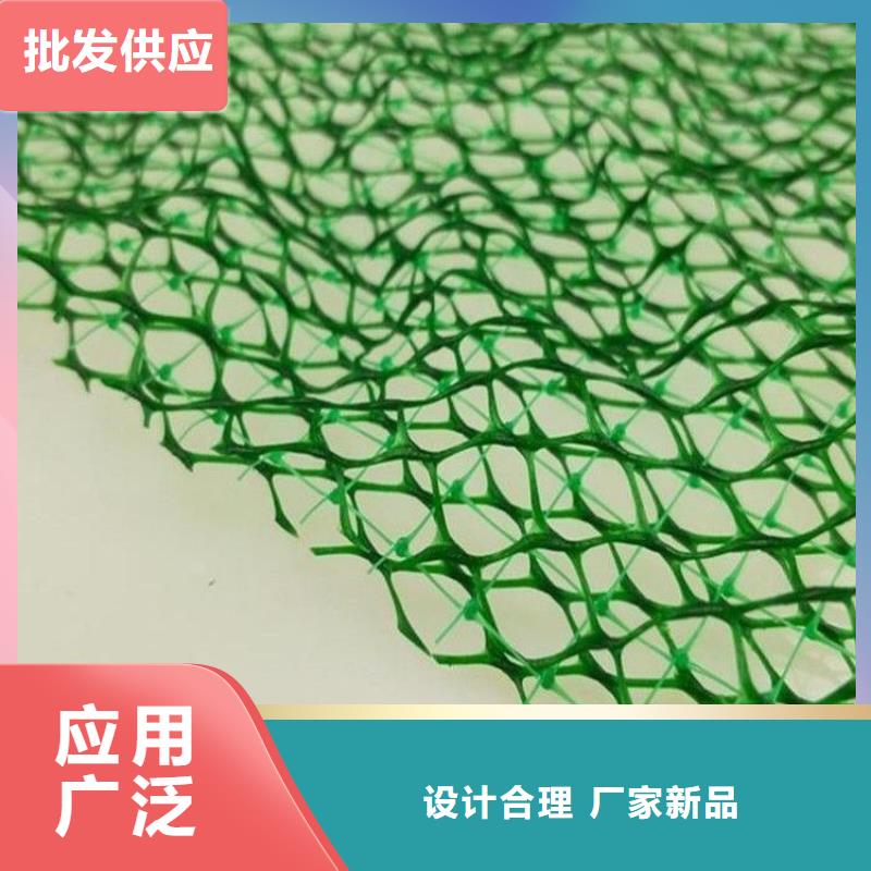 三维植被网土工布品质保障售后无忧多年经验值得信赖