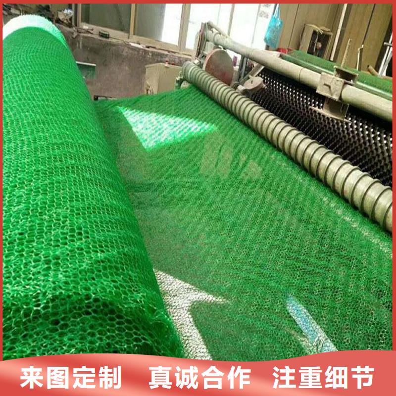三维植被网JK-7螺旋形大库存无缺货危机好产品有口碑