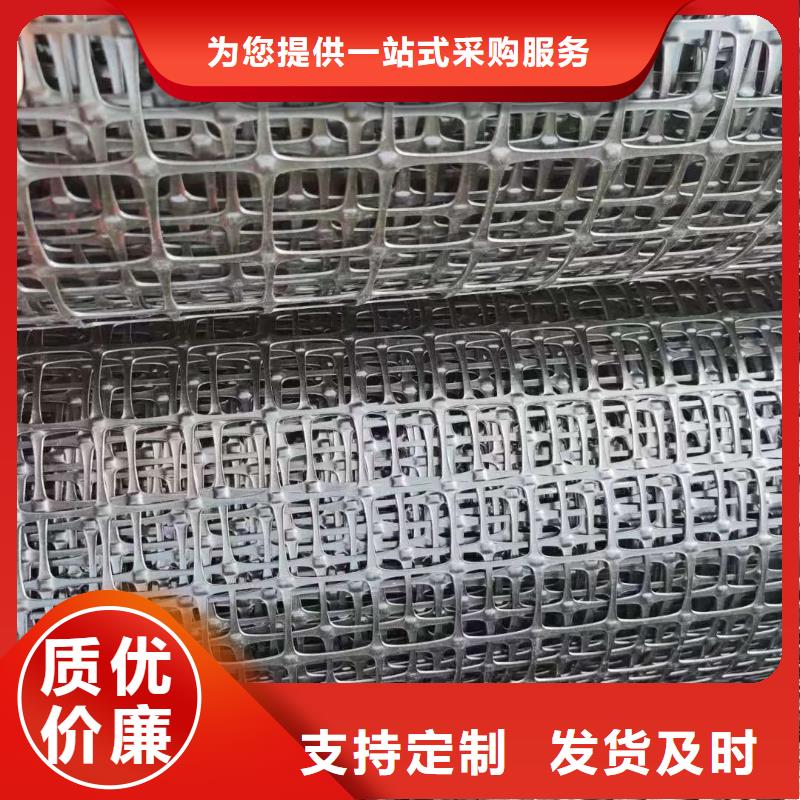 钢塑土工格栅型号免费拿样厂家当地经销商