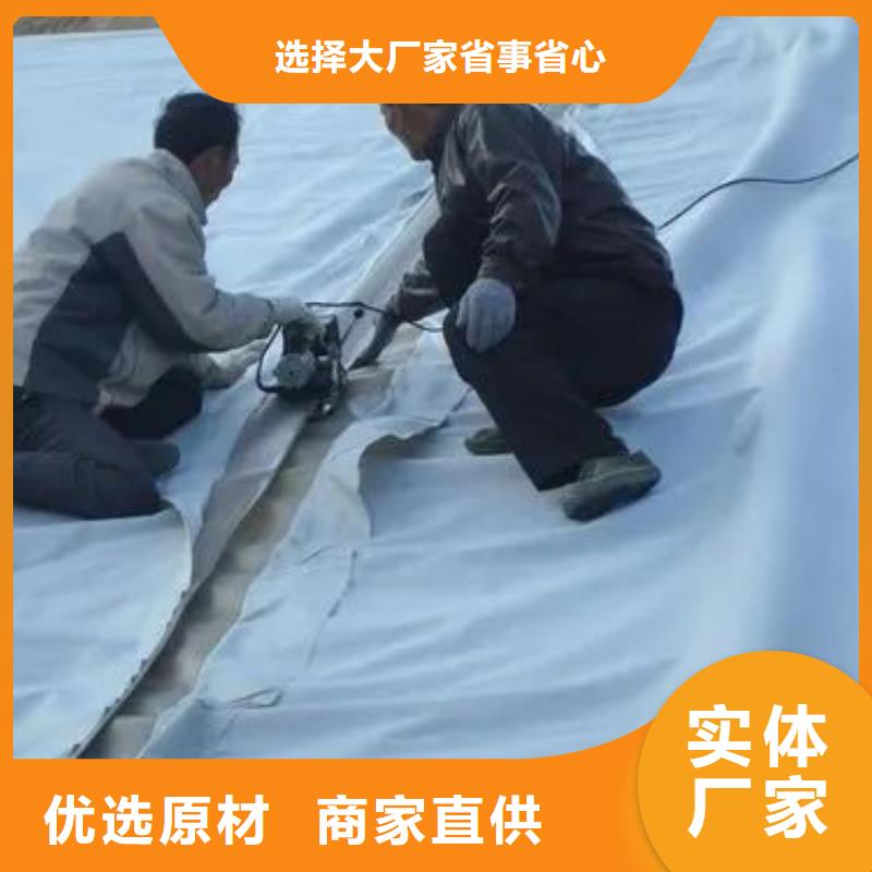 土工布抗裂纤维厂家支持定制批发本地服务商