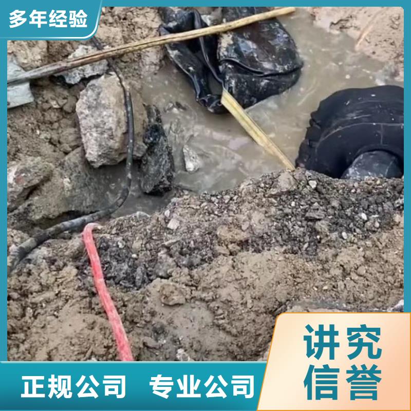 【水下安装-防水堵漏从业经验丰富】本地货源