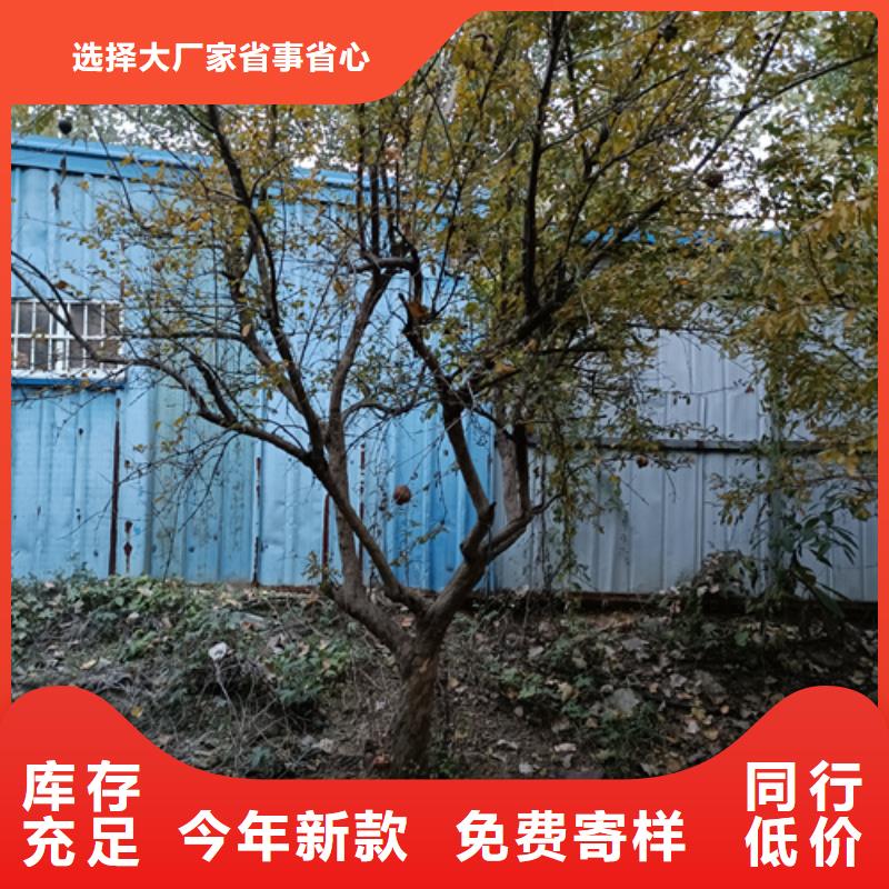 【法桐用心做好细节】支持定制贴心售后