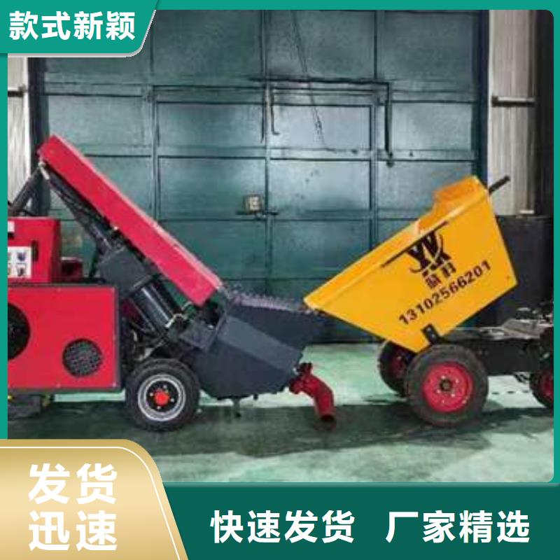 二次构造柱泵拥有核心技术优势当地公司
