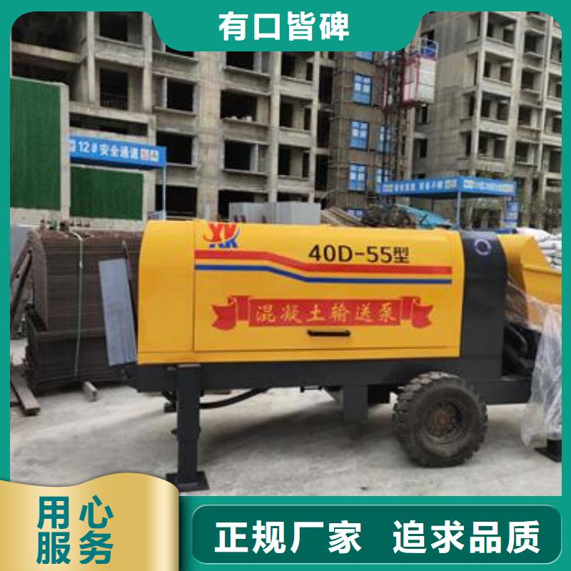 二次构造柱泵今年新款工厂自营