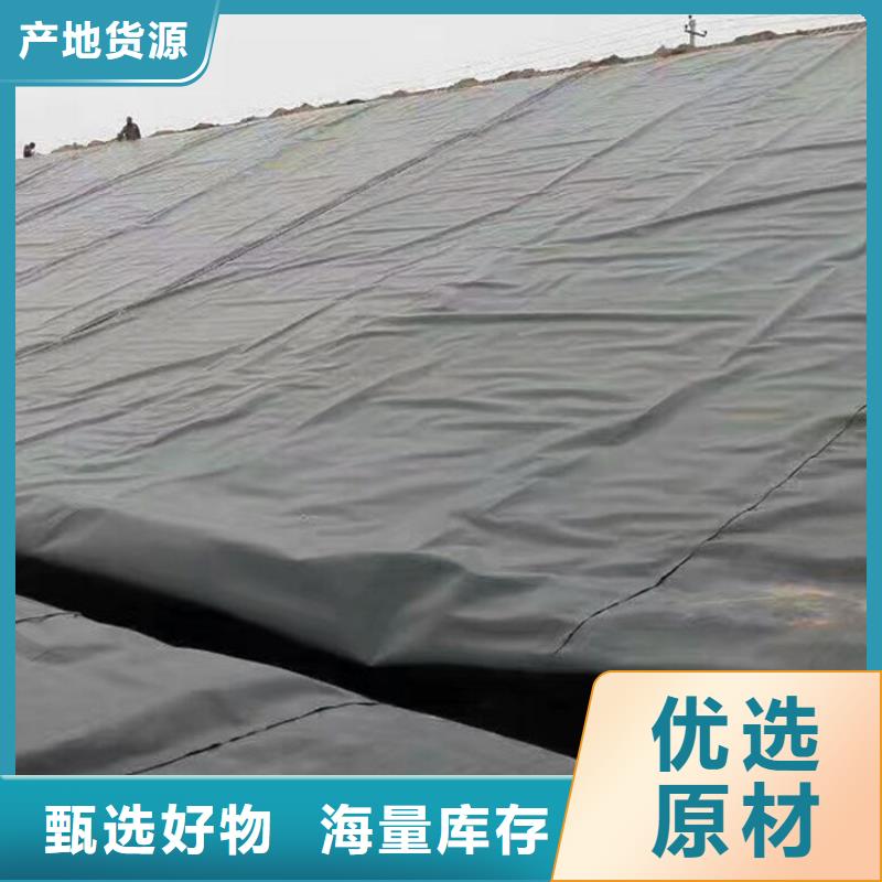 土工膜膨润土防水毯源头厂家来图定制当地供应商