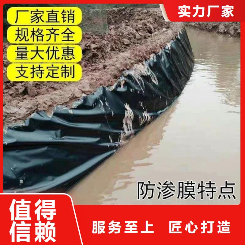 土工膜,土工布一件也发货精工制作