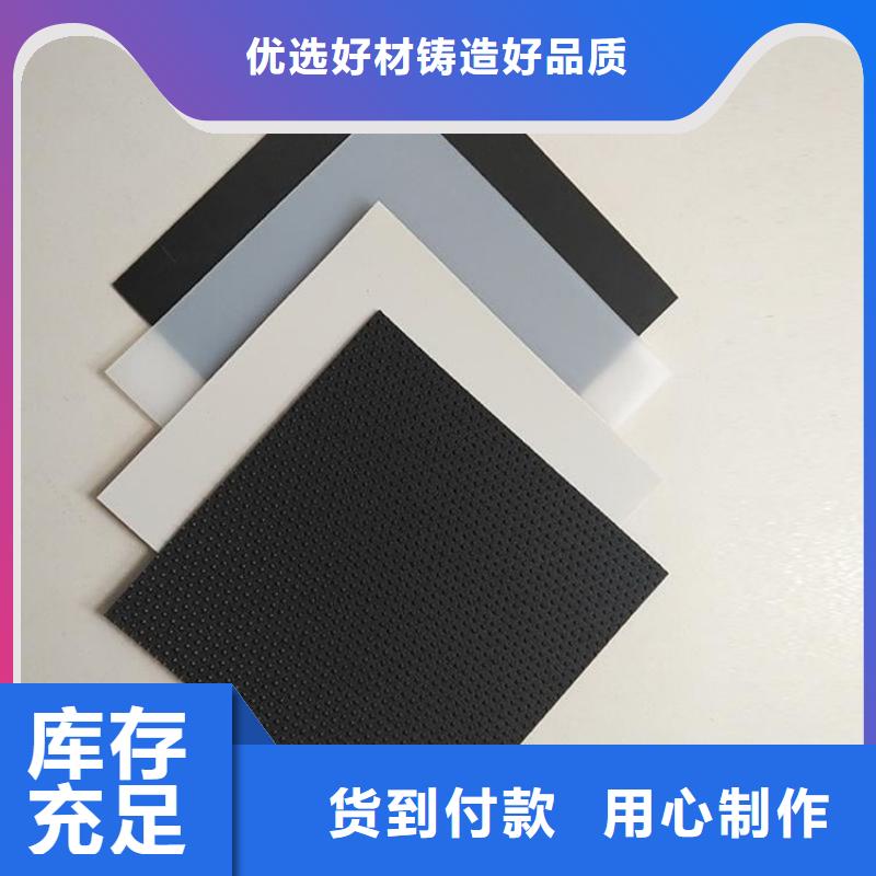 土工膜涤纶格栅产品细节参数种类多质量好