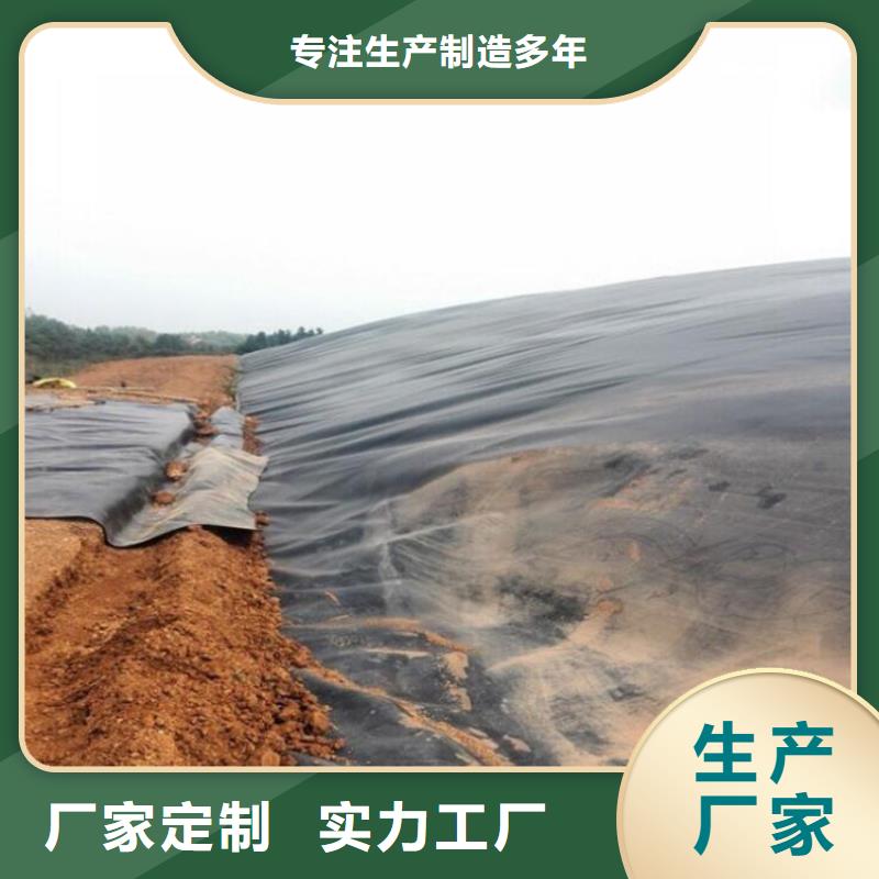 【土工膜双向塑料土工格栅敢与同行比质量】当地经销商