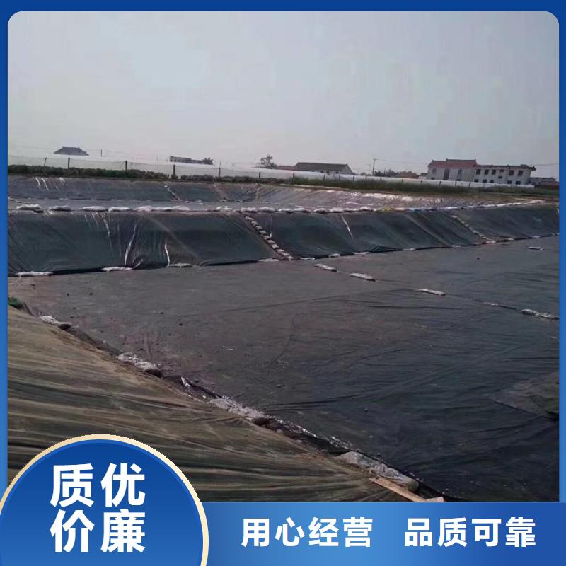 土工膜涤纶格栅货品齐全诚信为本
