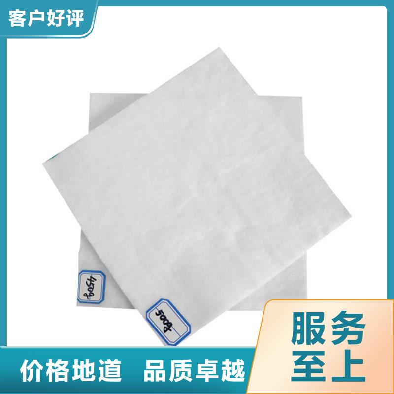 土工布,植草格产地采购本地品牌