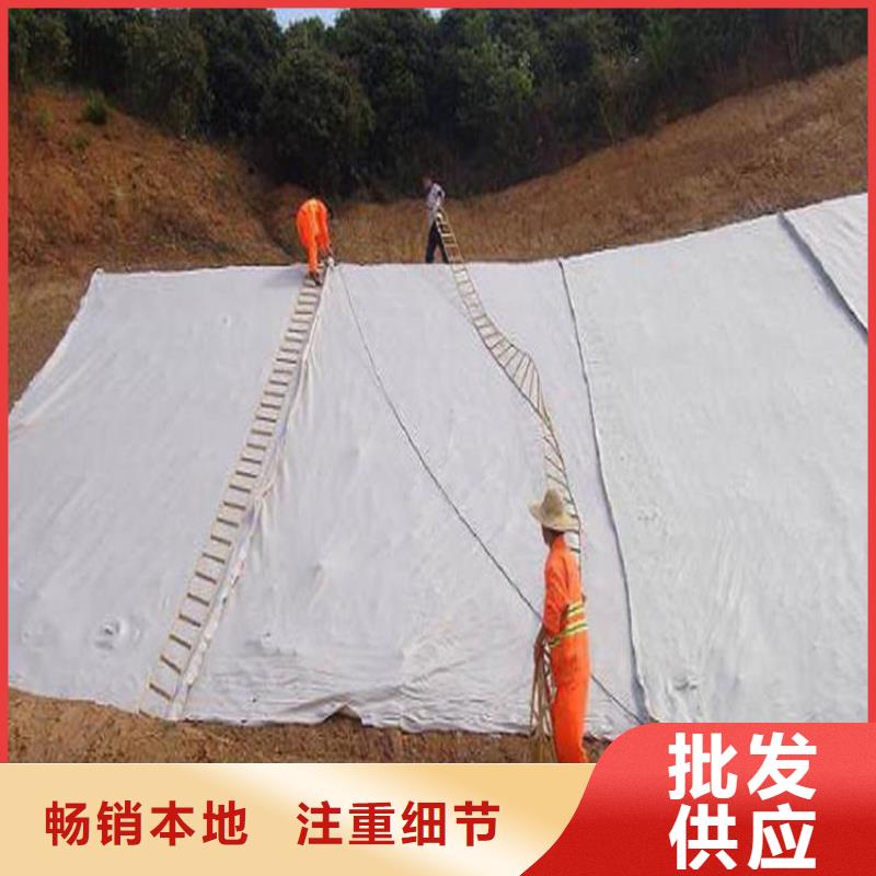 土工布双向土工格栅本地厂家值得信赖供应采购
