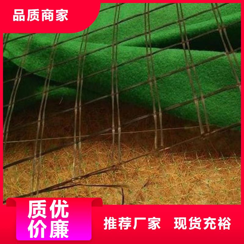 椰丝毯-土工膜商家直供厂家直销售后完善
