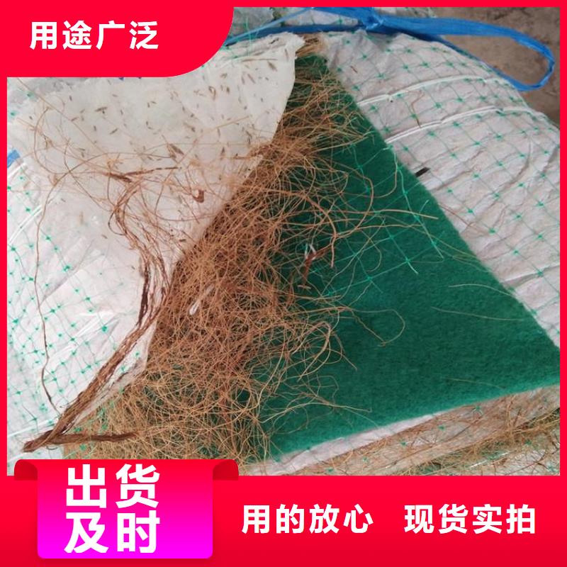 椰丝毯_排水板优良工艺老品牌厂家