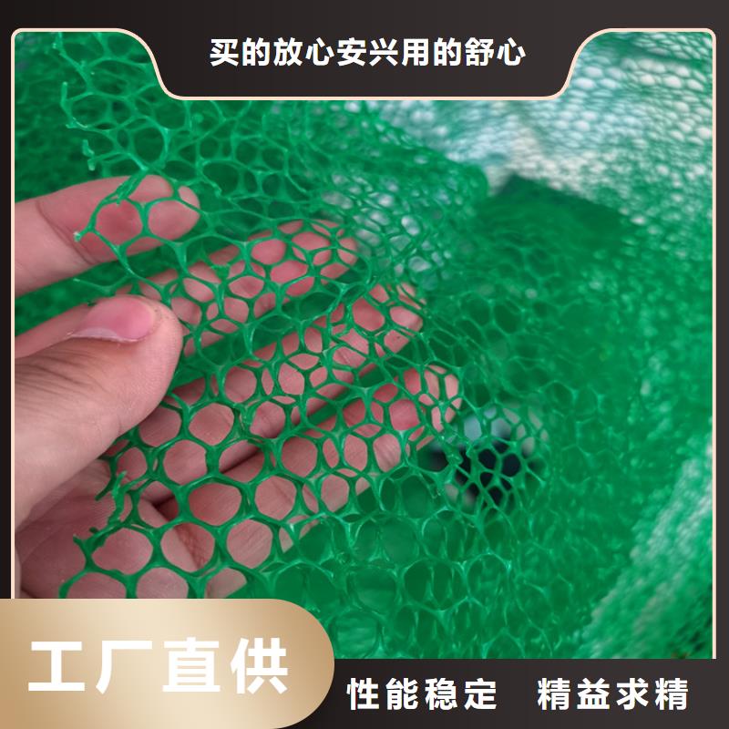 三维植被网网格布专注细节使用放心价格地道