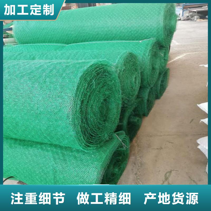 三维植被网防渗膜厂家现货批发支持大小批量采购