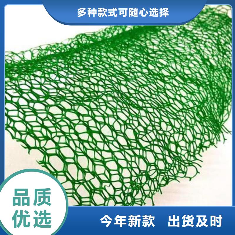 三维植被网防裂贴讲信誉保质量同城服务商