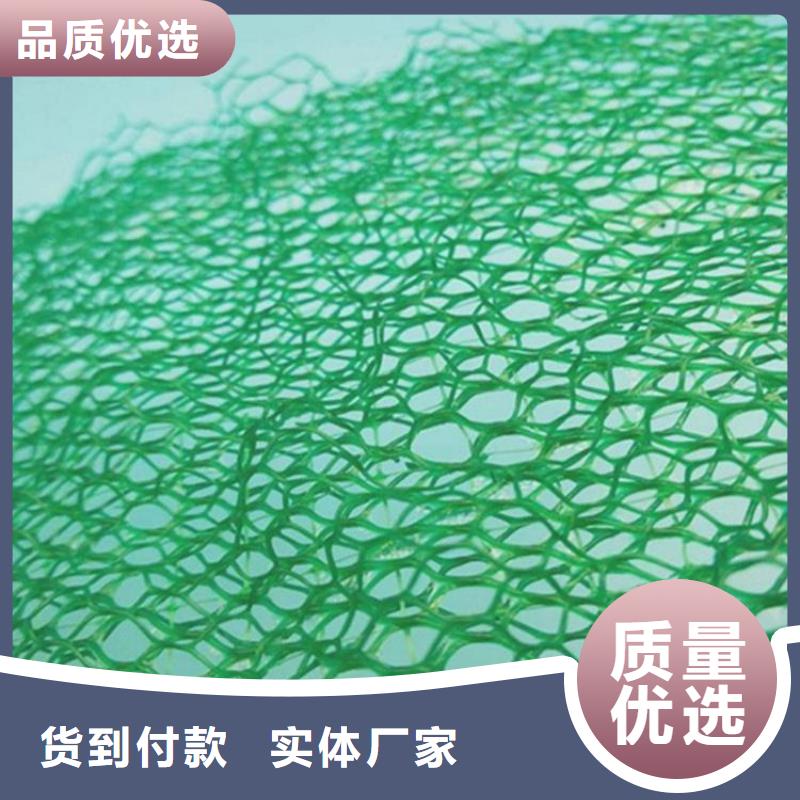 三维植被网_防渗膜专业生产制造厂同城公司