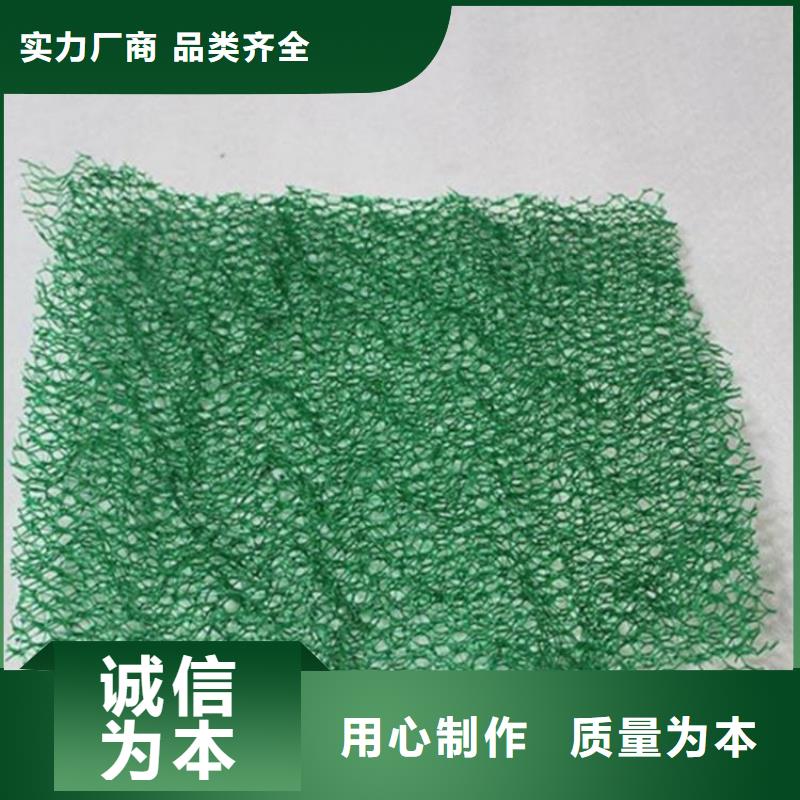 【三维植被网】土工格栅为您提供一站式采购服务当地厂家