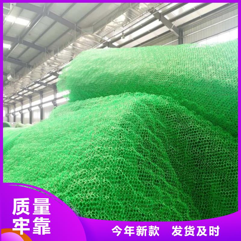 三维植被网,双向土工格栅海量货源货品齐全