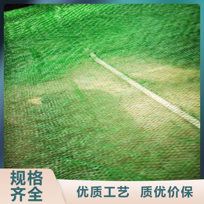 三维植被网土工格栅好产品价格低同城制造商