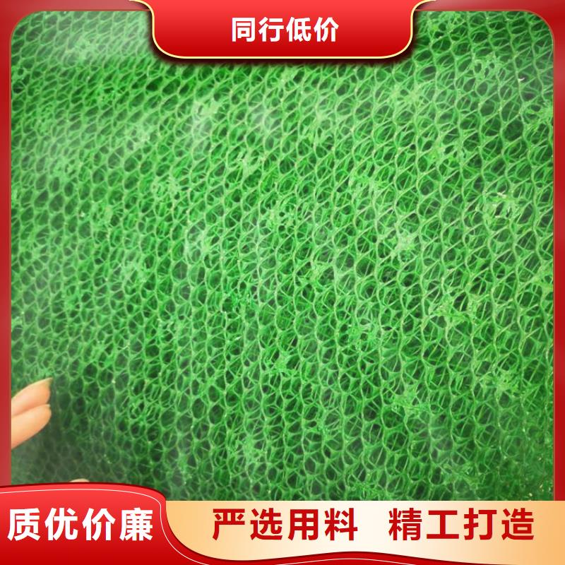 三维植被网-土工膜好产品不怕比货源稳定