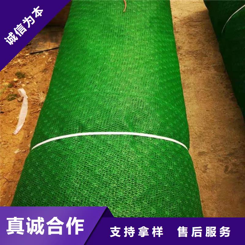 三维植被网HDPE土工膜产地货源本地服务商