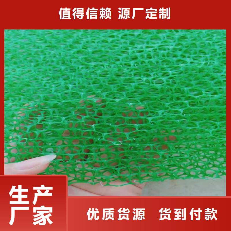三维植被网土工格栅选择我们没错符合标准