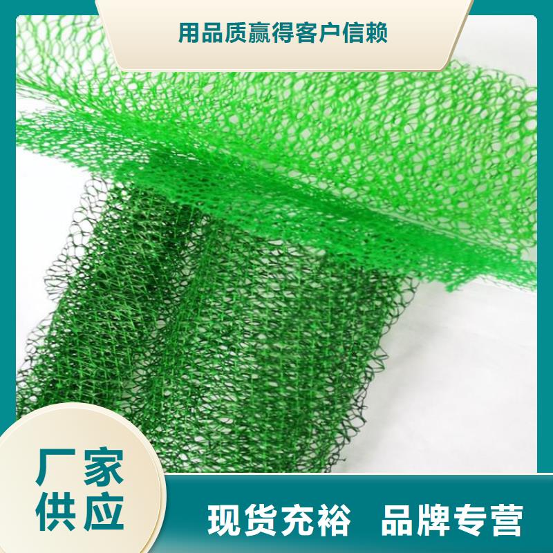三维植被网_土工布实体厂家厂家直销省心省钱