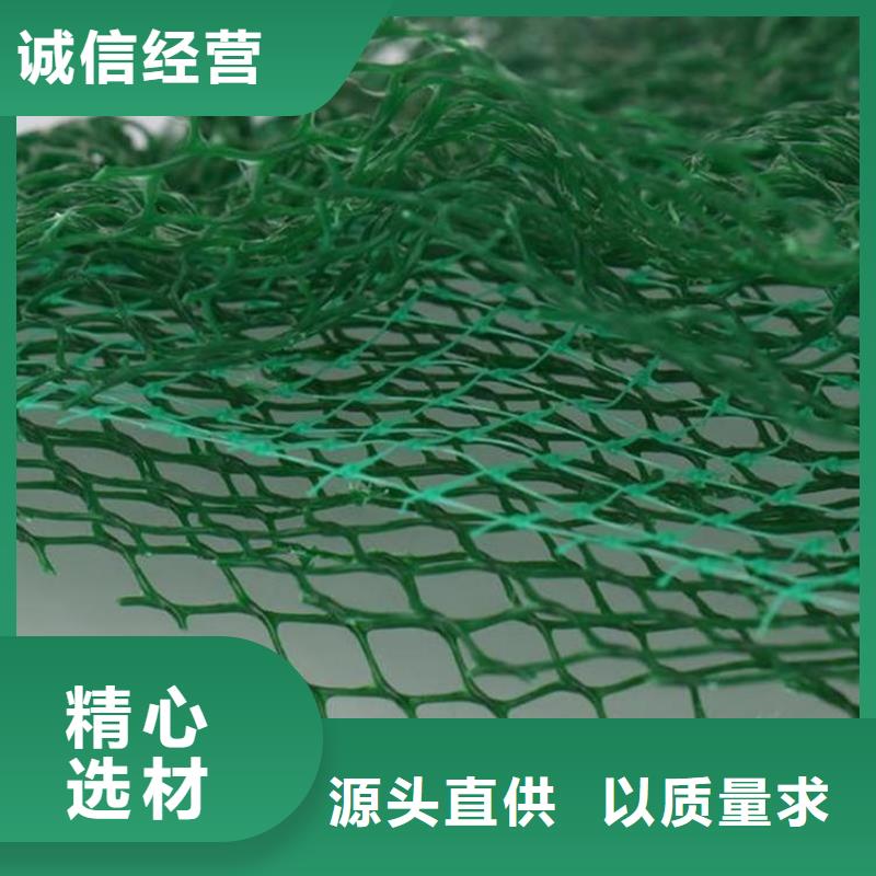 三维植被网土工格室品质好才是硬道理适用范围广