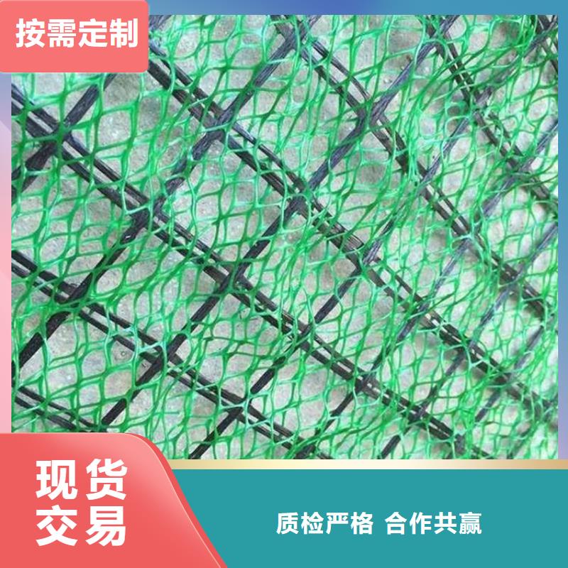 【三维植被网涤纶格栅选择我们选择放心】有实力有经验
