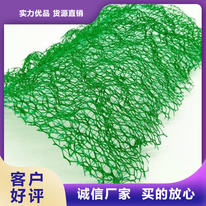 ​三维植被网膨润土防水毯来图来样定制本地供应商