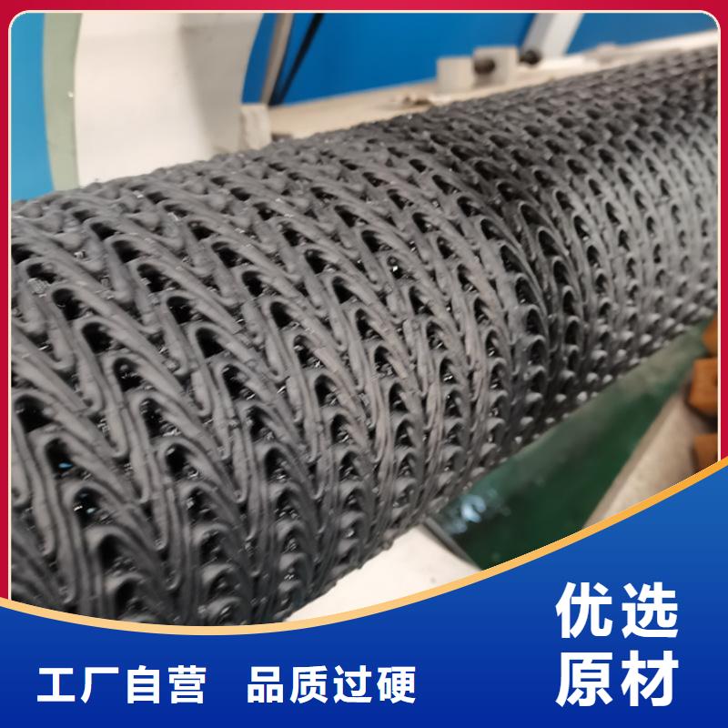 【硬式透水管钢塑格栅放心选购】当地品牌