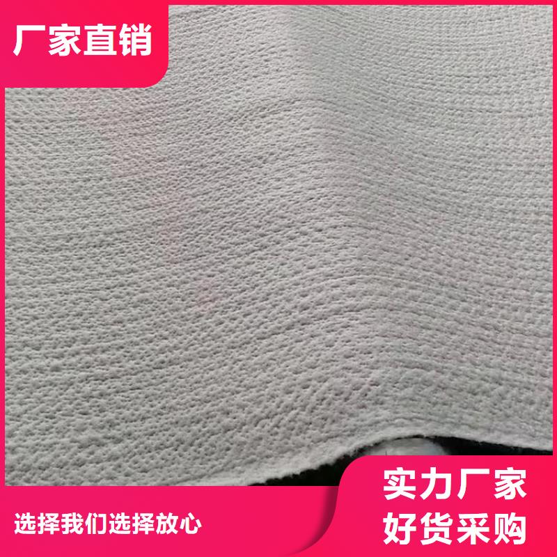 【膨润土防水毯双向塑料土工格栅今年新款】支持拿样