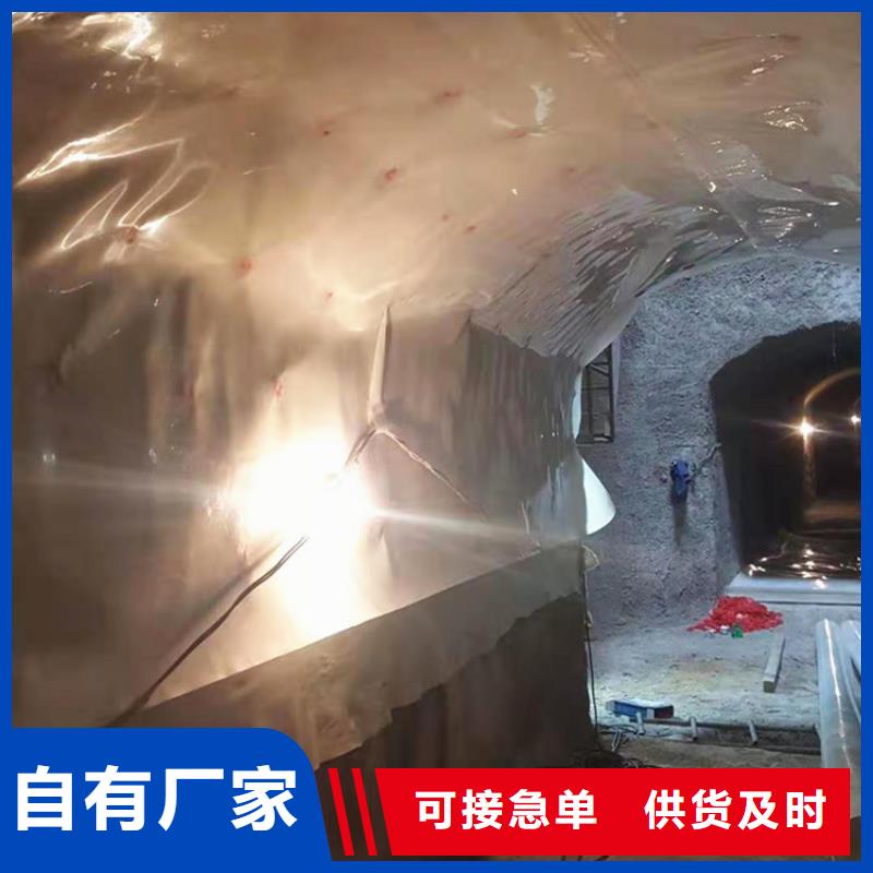 防水板_钢塑土工格栅品质过硬当地公司