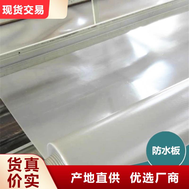 防水板土工格栅技术先进实力公司