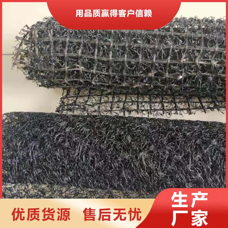 【水土保护毯】-双向土工格栅专业信赖厂家当地品牌