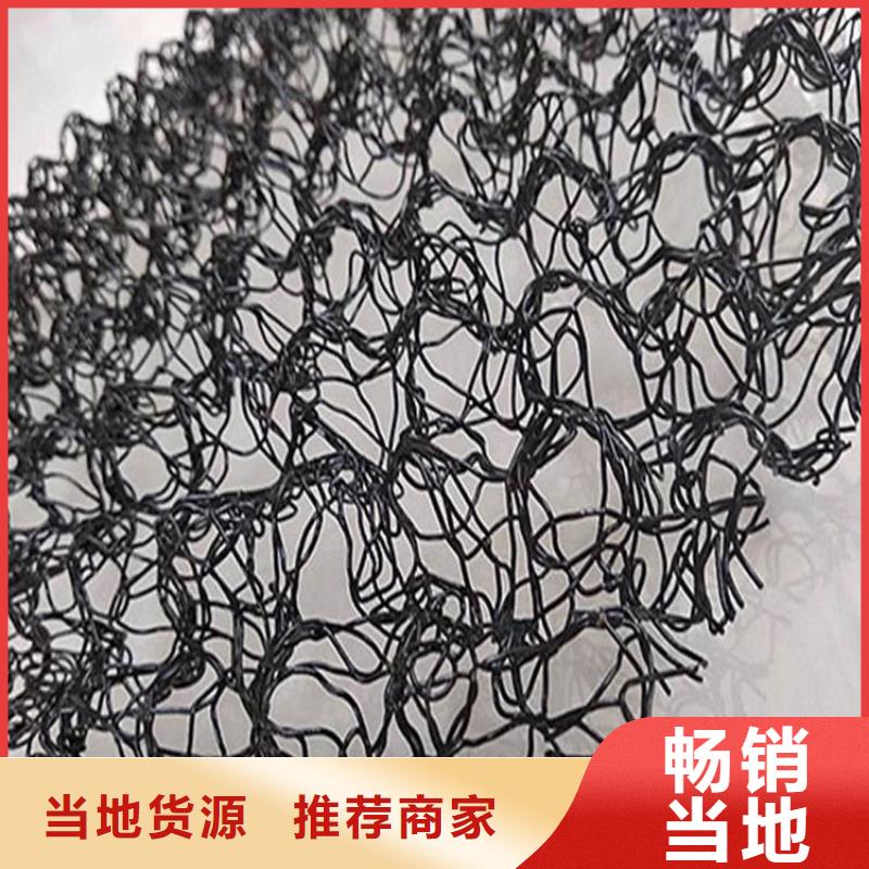 水土保护毯-土工布现货充足量大优惠本地制造商
