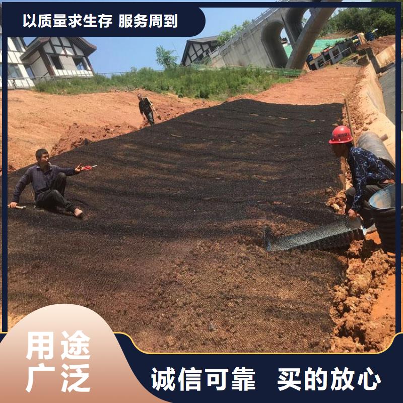 【水土保护毯塑料土工格栅严选用料】同城品牌