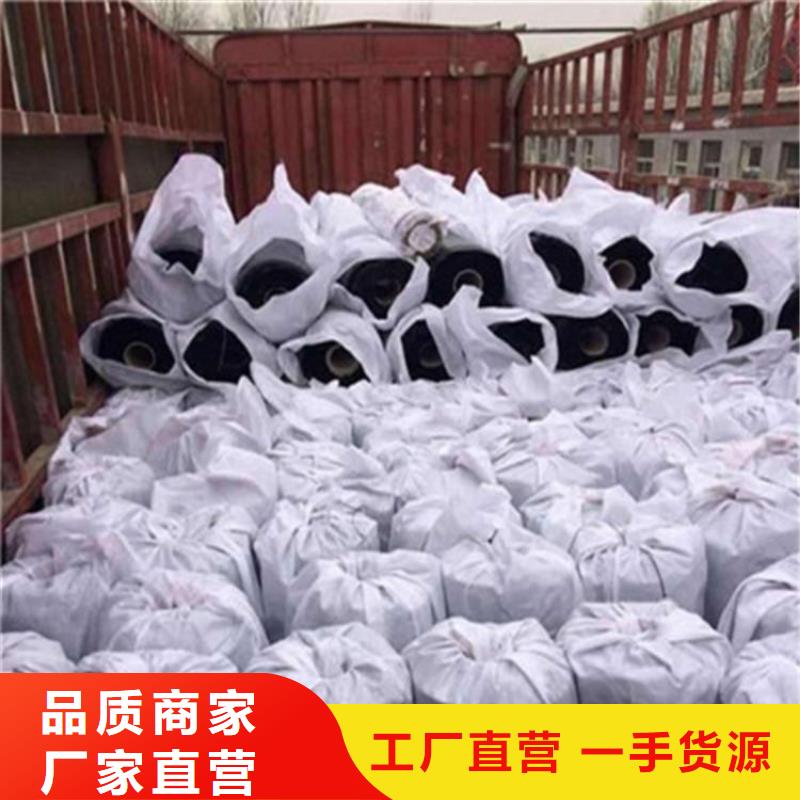 【防裂贴】双向塑料土工格栅现货直供厂家直销值得选择