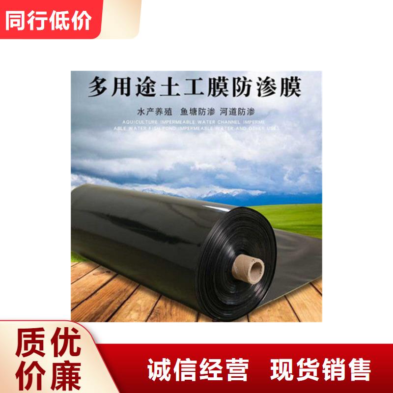 土工膜生态带服务始终如一多年经验值得信赖
