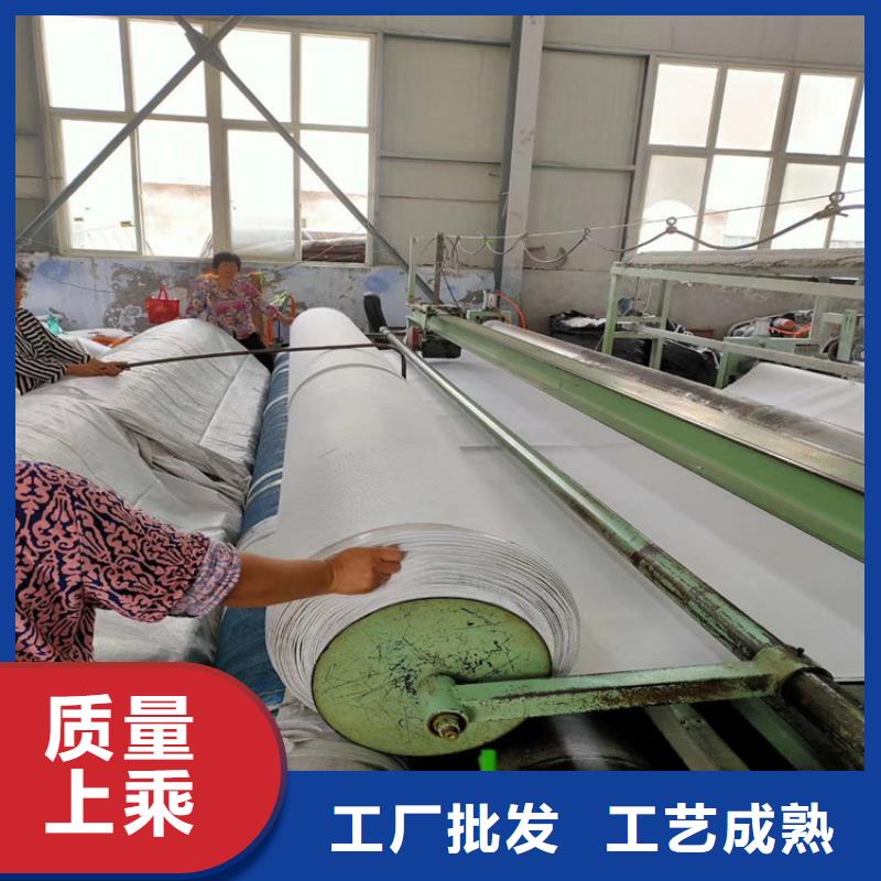 土工布玻纤土工格栅好品质售后无忧厂家采购